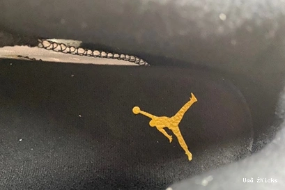 CT8529-170 Ochre Retro 603 Yellow Jordan  Classic 6 0815